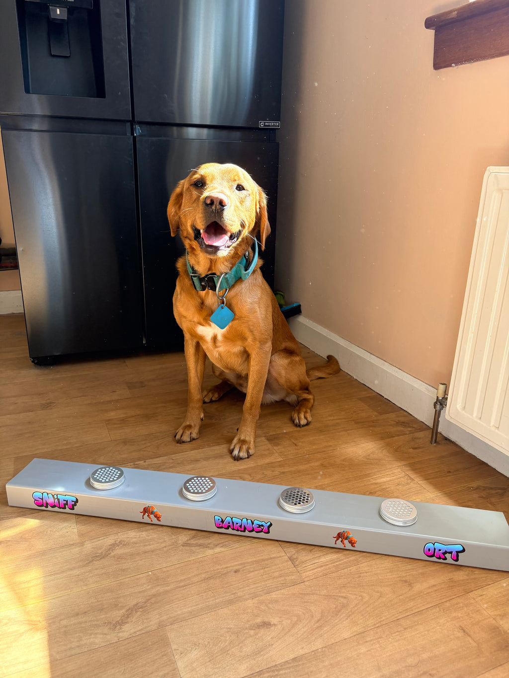 Dog Scentwork Training Channel | Personalised Nosework ORT Kit | Odor Recognition Test Box with Scent Tins | Custom Dog Training Equipment