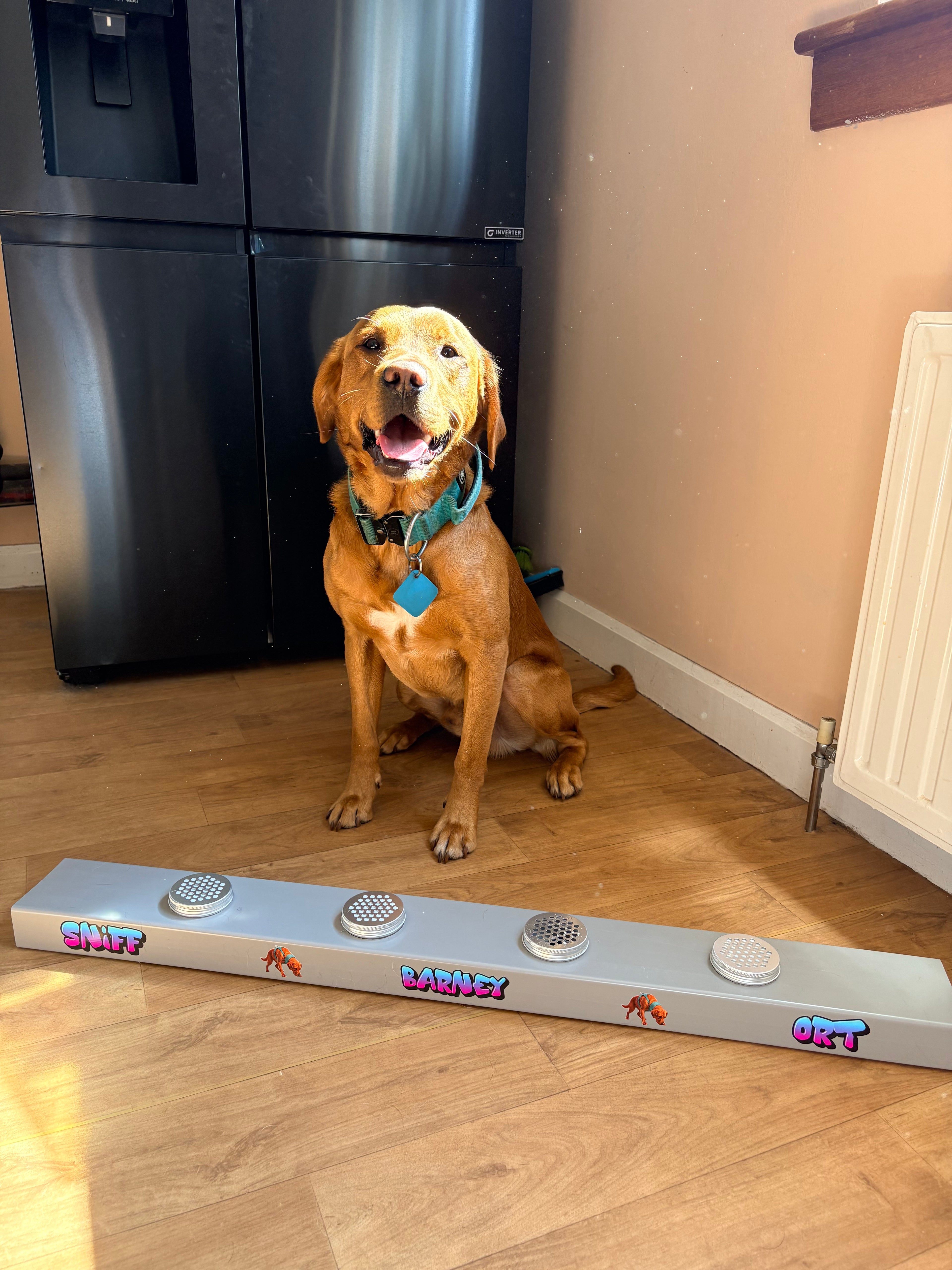 Dog Scentwork Training Channel | Personalised Nosework ORT Kit | Odor Recognition Test Box with Scent Tins | Custom Dog Training Equipment
