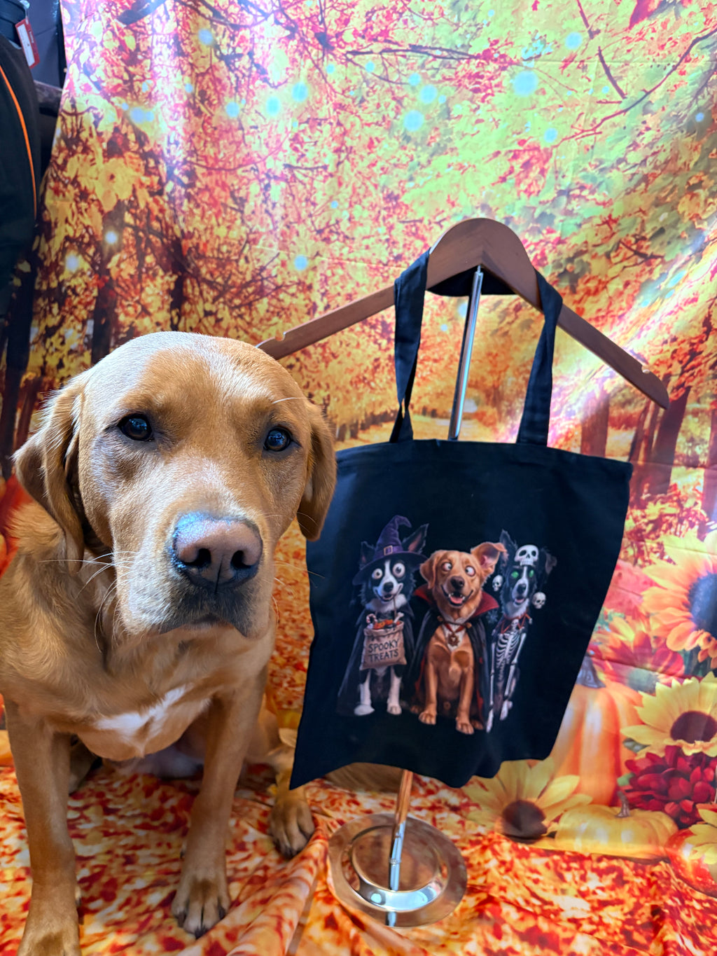 Custom Halloween Trick-or-Treat Tote Bags | Personalized Pet & Family Spooky Bags