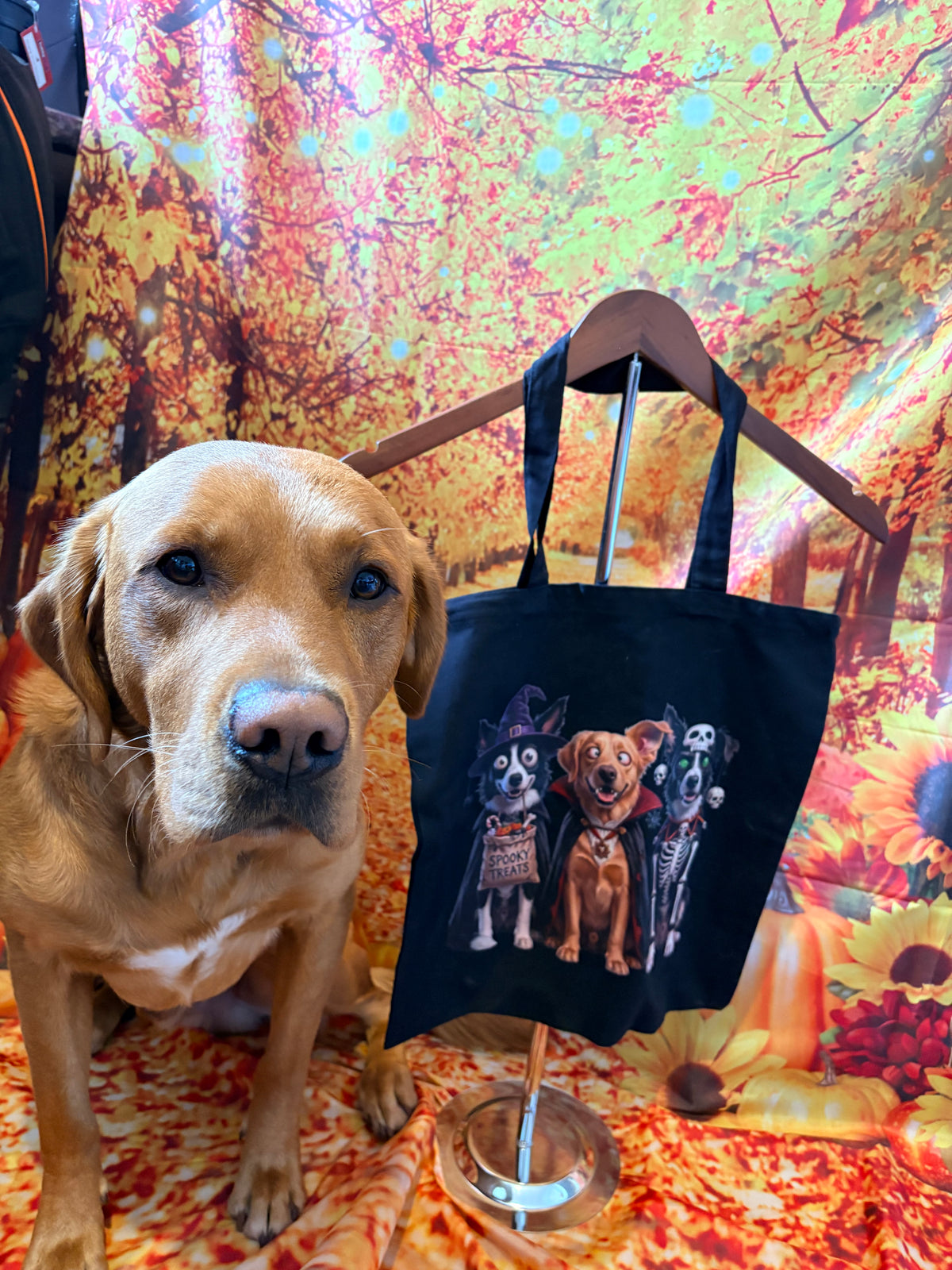 Custom Halloween Trick-or-Treat Tote Bags | Personalized Pet & Family Spooky Bags
