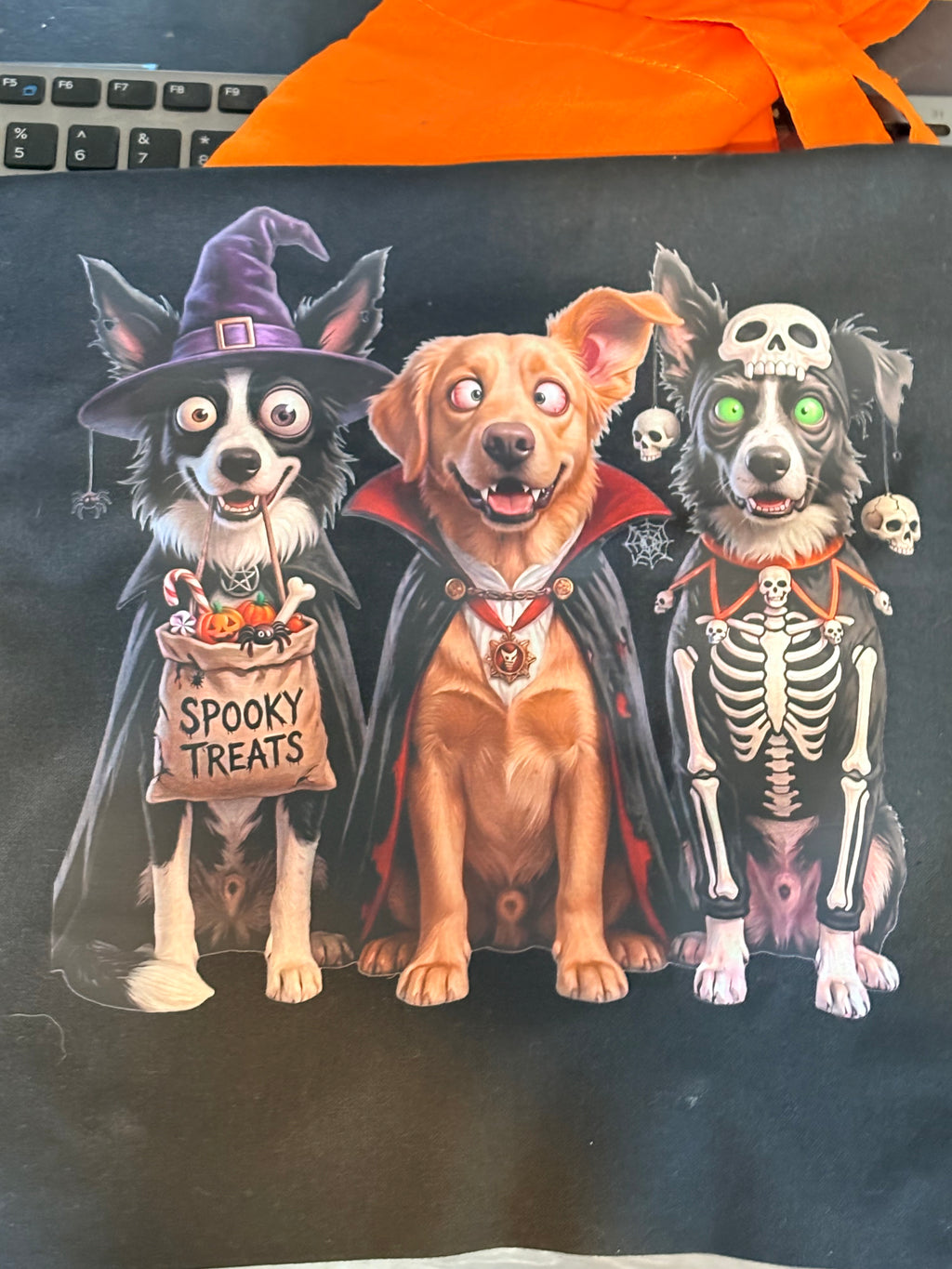 Custom Halloween Trick-or-Treat Tote Bags | Personalized Pet & Family Spooky Bags