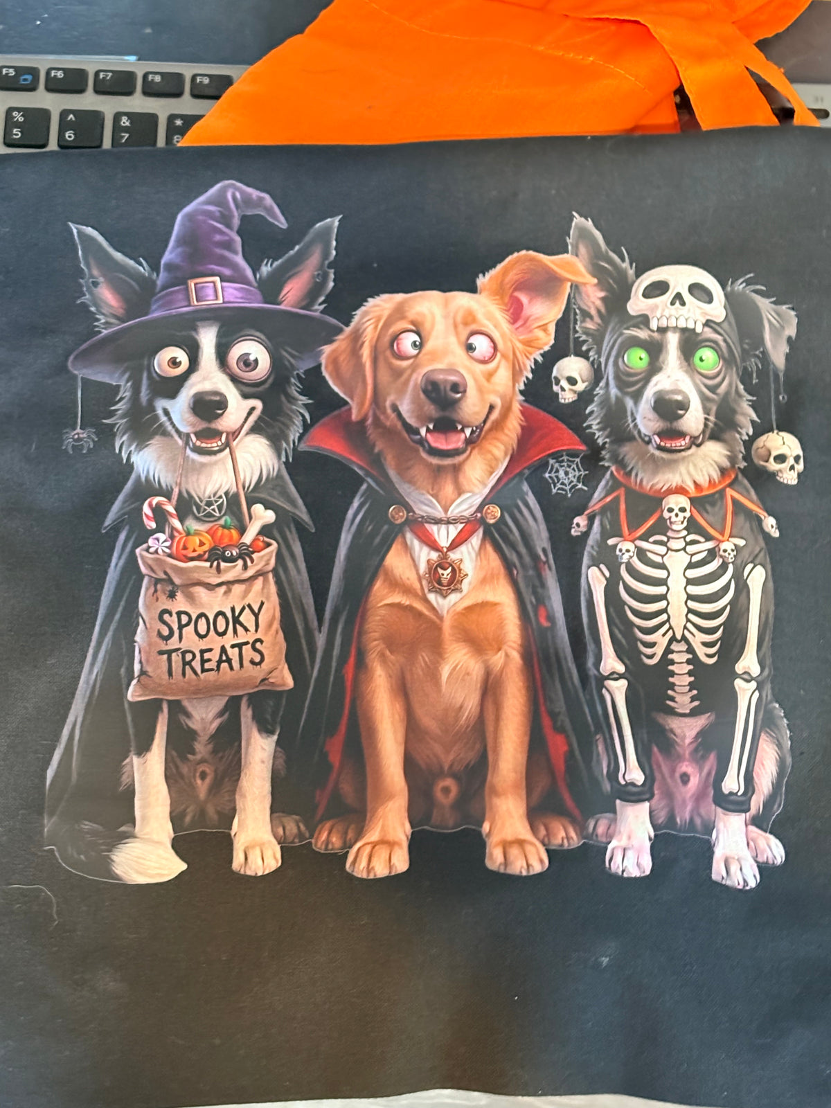 Custom Halloween Trick-or-Treat Tote Bags | Personalized Pet & Family Spooky Bags