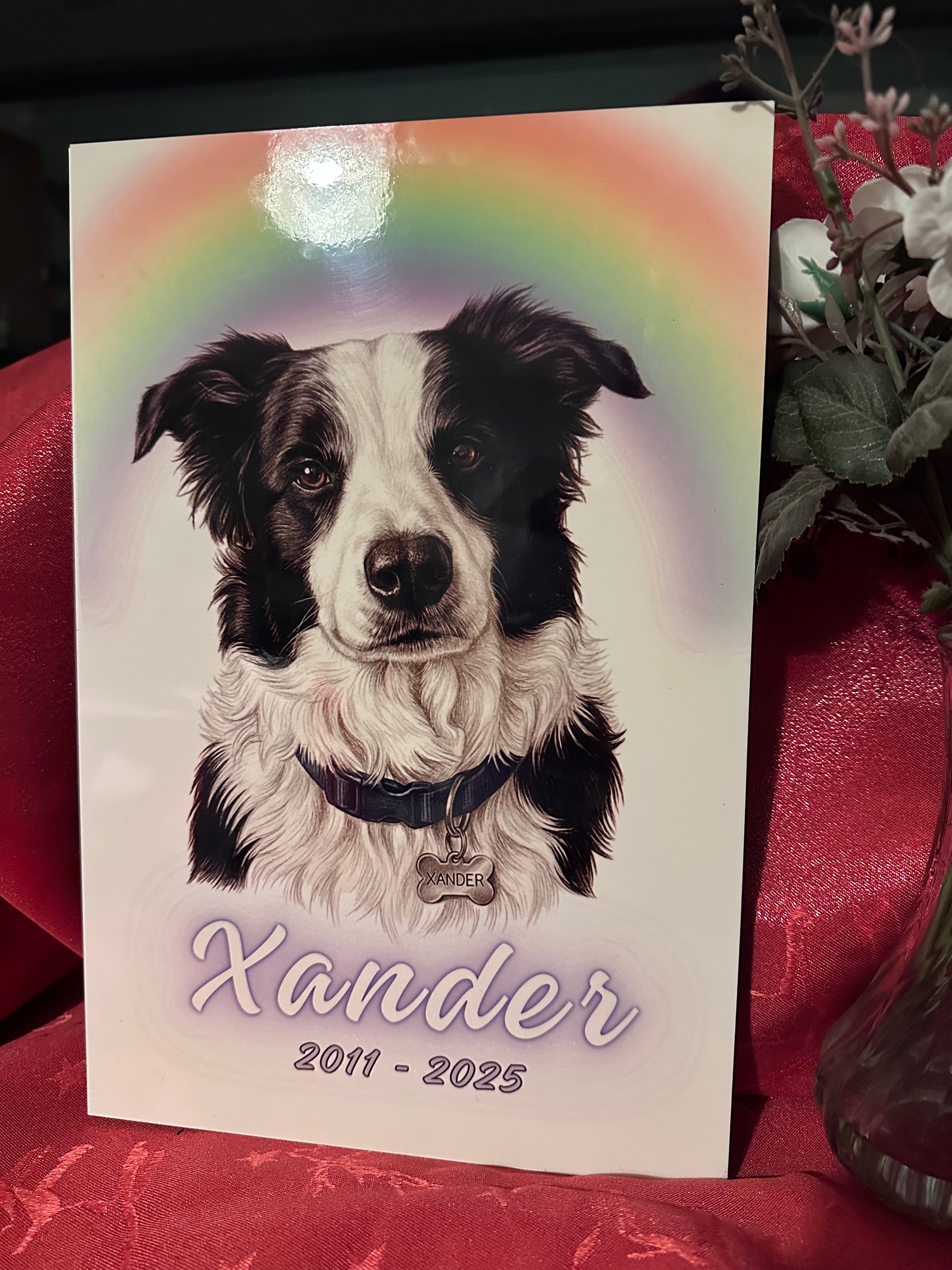 🌈🐾 Rainbow Bridge Memorial Tribute – Personalized Pet Plaque 🌈🐾