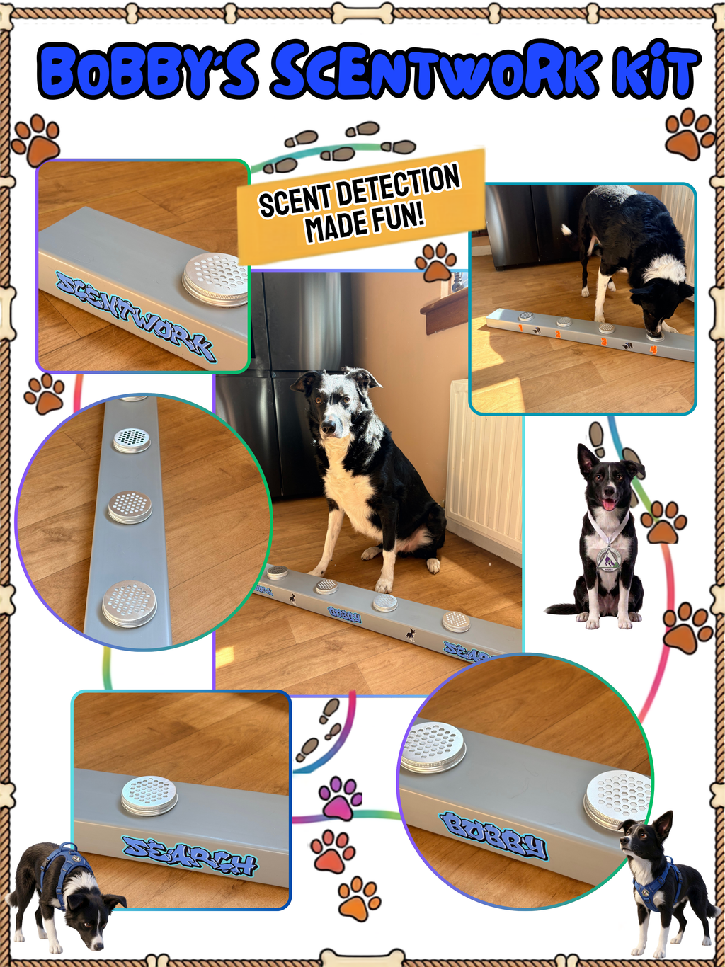 Dog Scentwork Training Channel | Personalised Nosework ORT Kit | Odor Recognition Test Box with Scent Tins | Custom Dog Training Equipment