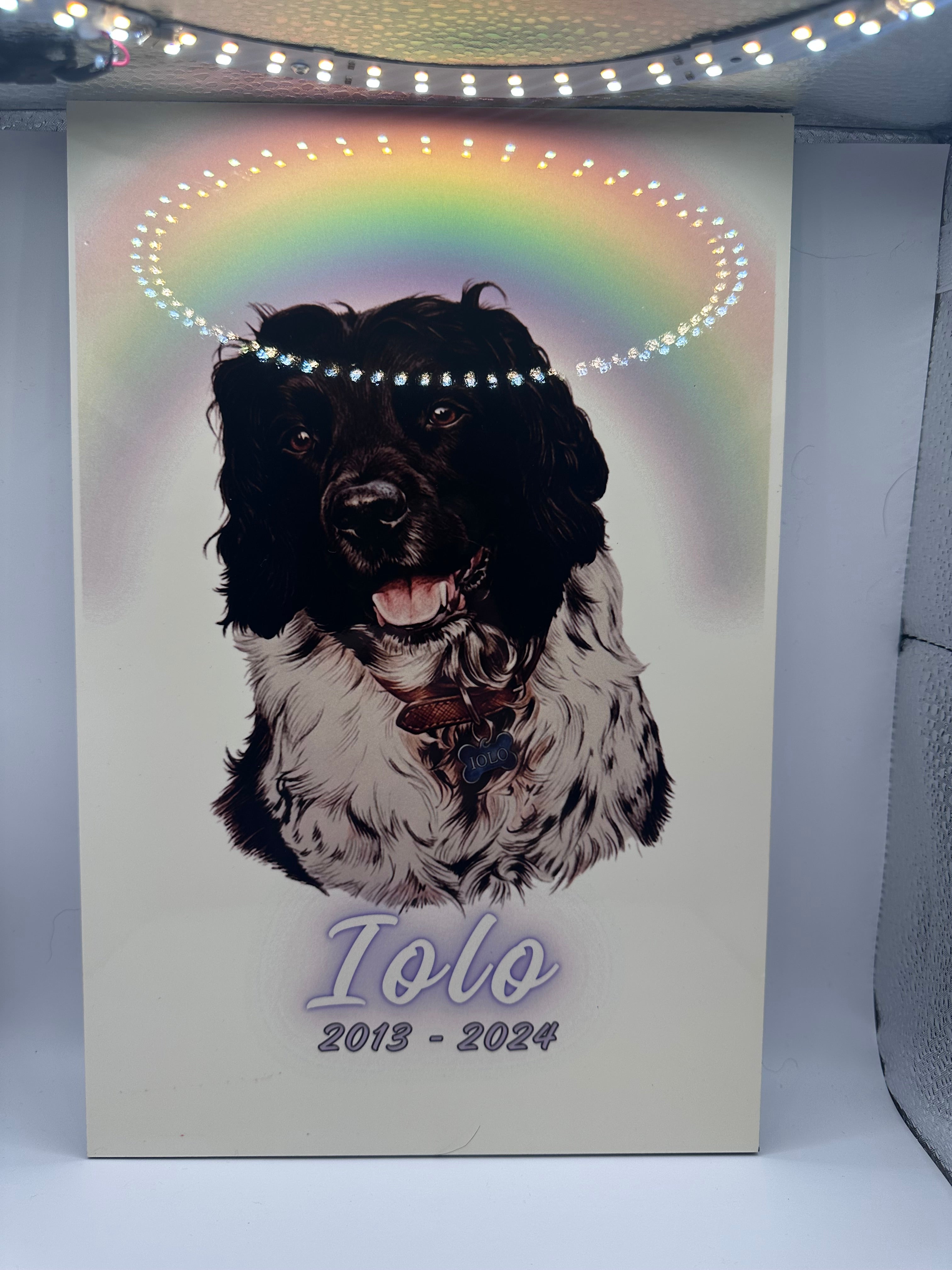 🌈🐾 Rainbow Bridge Memorial Tribute – Personalized Pet Plaque 🌈🐾