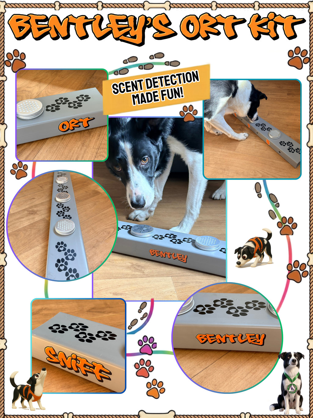 Dog Scentwork Training Channel | Personalised Nosework ORT Kit | Odor Recognition Test Box with Scent Tins | Custom Dog Training Equipment