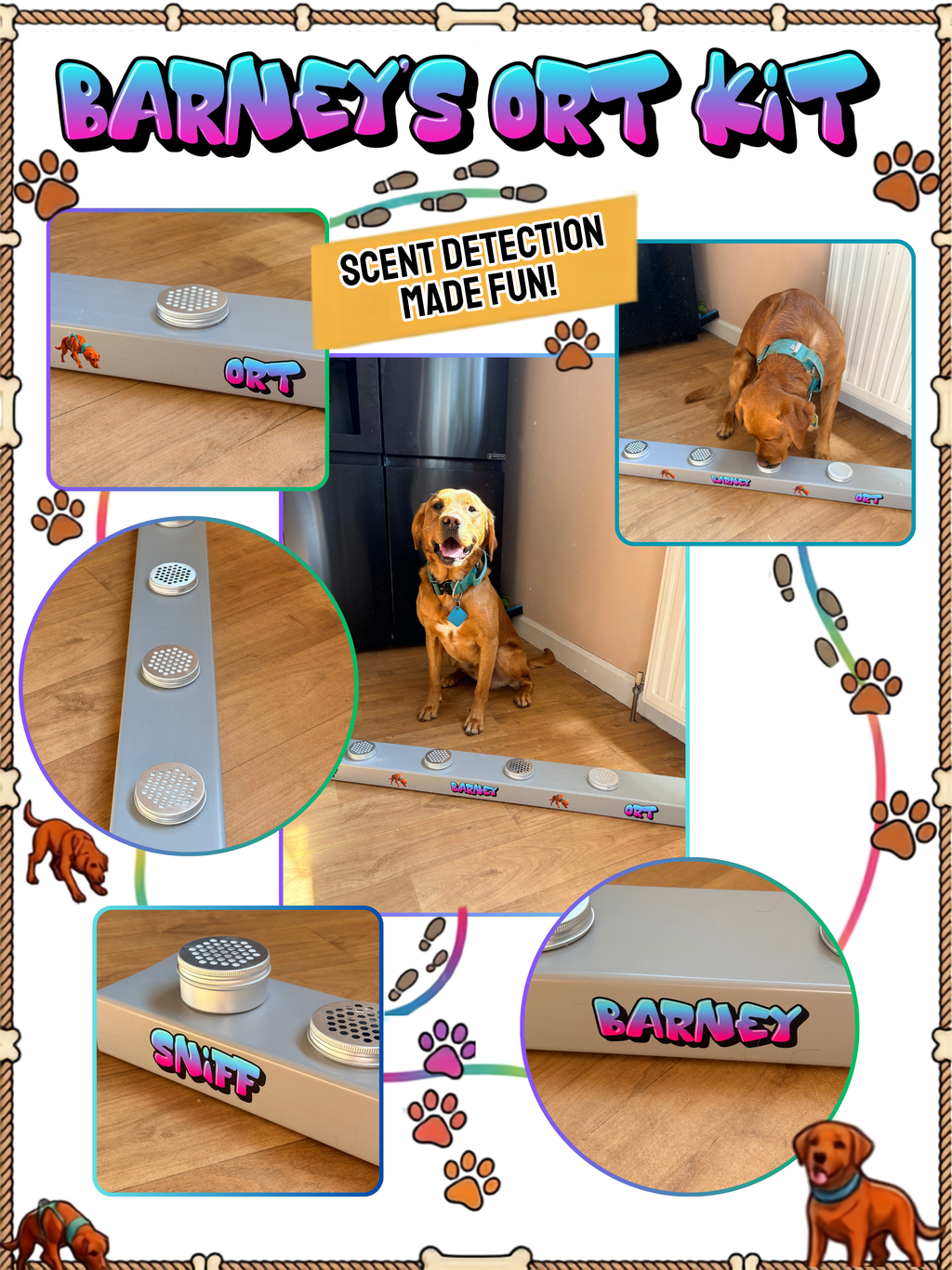 Dog Scentwork Training Channel | Personalised Nosework ORT Kit | Odor Recognition Test Box with Scent Tins | Custom Dog Training Equipment