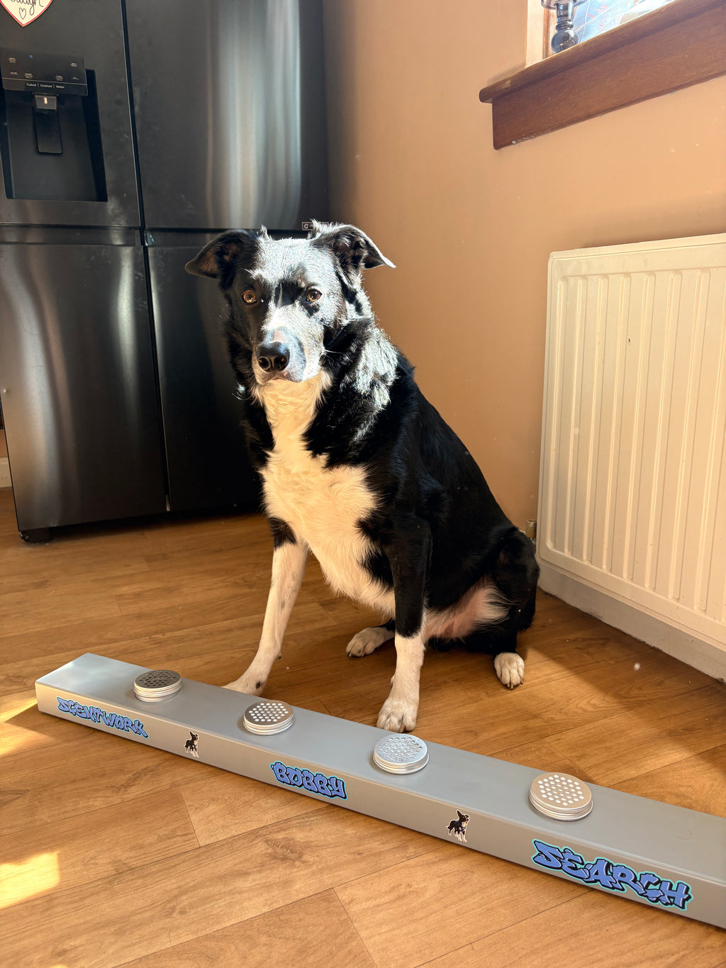 Dog Scentwork Training Channel | Personalised Nosework ORT Kit | Odor Recognition Test Box with Scent Tins | Custom Dog Training Equipment