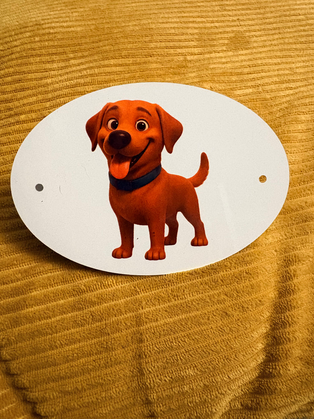 🎨 Personalised Aluminum Name Plaques – Perfect for Pets & Playrooms!