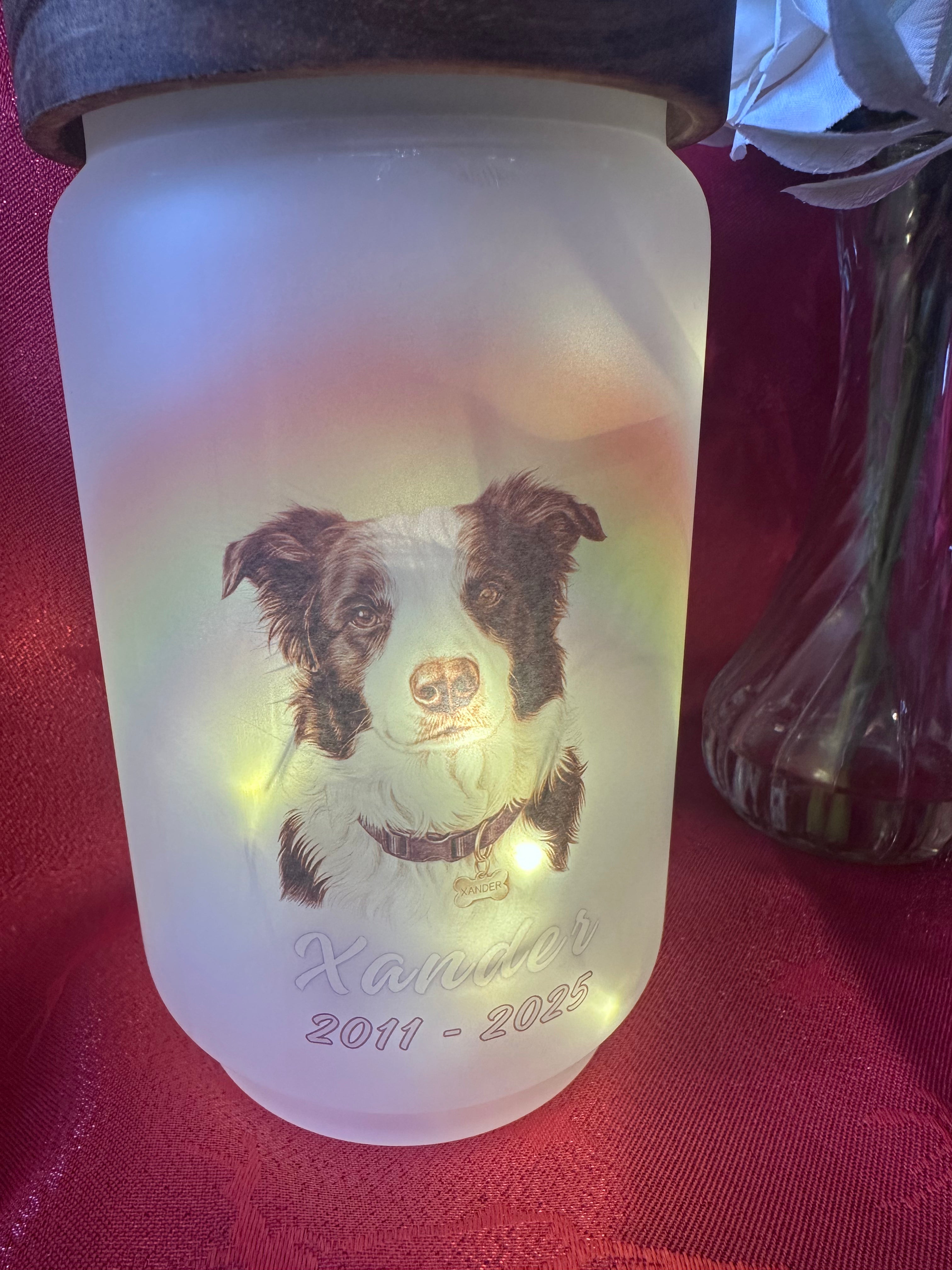 🌈🐾 Custom Rainbow Memorial Pet Light – Handcrafted Frosted Glass Jar 🐾🌈