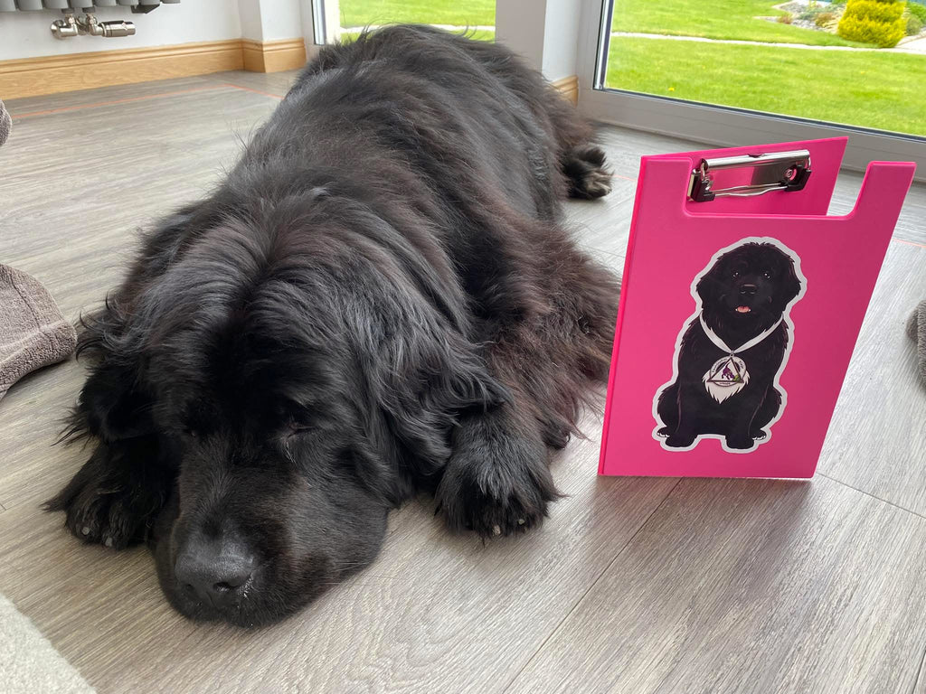 Personalised Clipboard